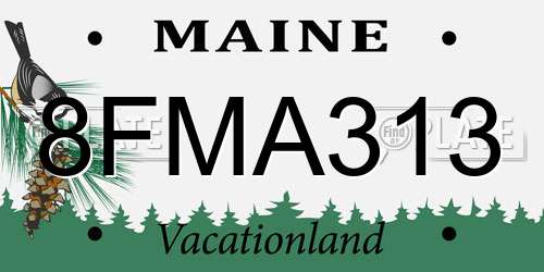 8FMA313 Maine License Plate