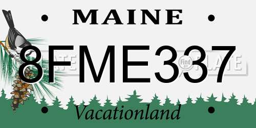 8FME337 Maine License Plate