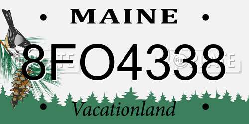 8FO4338 Maine License Plate