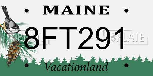 8FT291 Maine License Plate