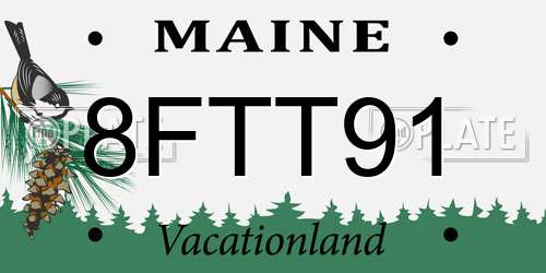 8FTT91 Maine License Plate