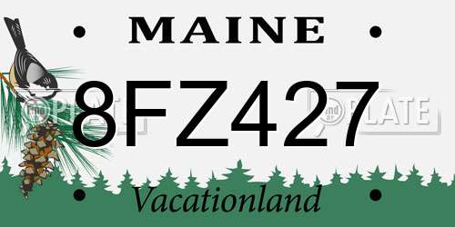8FZ427 Maine License Plate