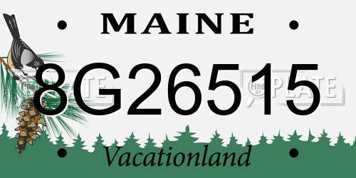 8G26515 Maine License Plate