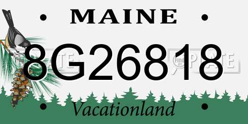 8G26818 Maine License Plate