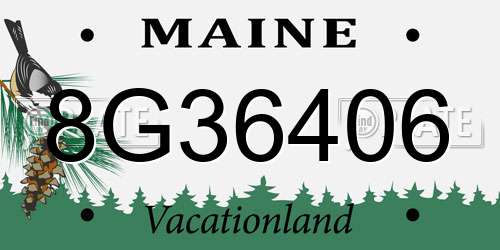 8G36406 Maine License Plate
