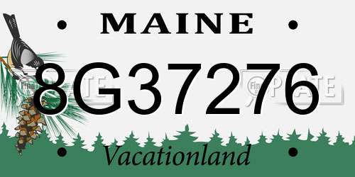 8G37276 Maine License Plate