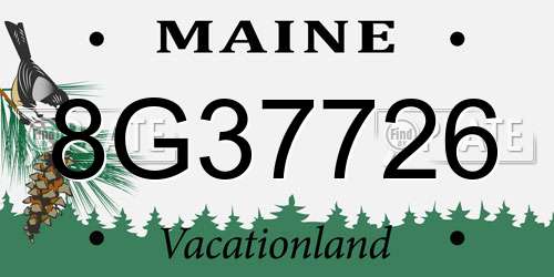 8G37726 Maine License Plate