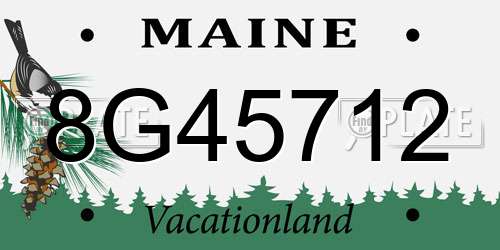 8G45712 Maine License Plate