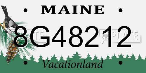 8G48212 Maine License Plate