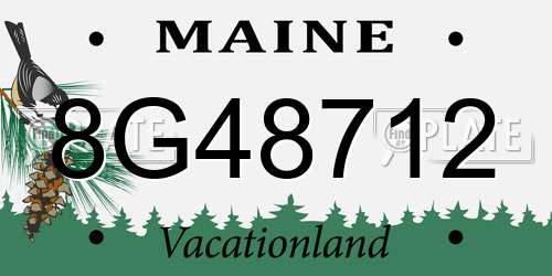 8G48712 Maine License Plate