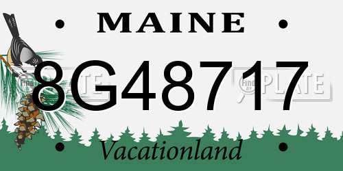 8G48717 Maine License Plate