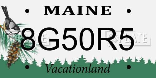 8G50R5 Maine License Plate