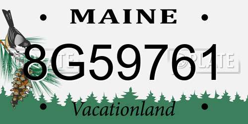 8G59761 Maine License Plate