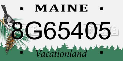8G65405 Maine License Plate