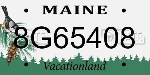 8G65408 Maine License Plate
