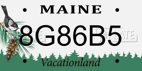 8G86B5 Maine License Plate