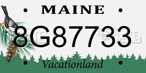 8G87733 Maine License Plate