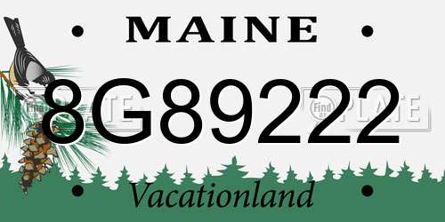8G89222 Maine License Plate