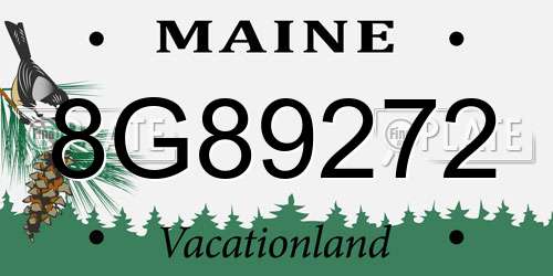 8G89272 Maine License Plate