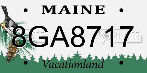 8GA8717 Maine License Plate