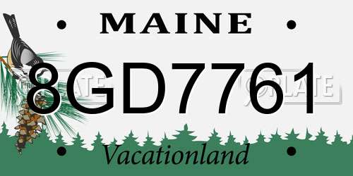 8GD7761 Maine License Plate