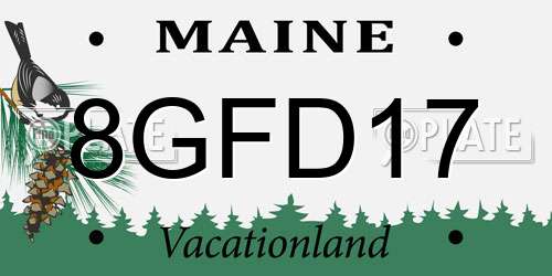 8GFD17 Maine License Plate