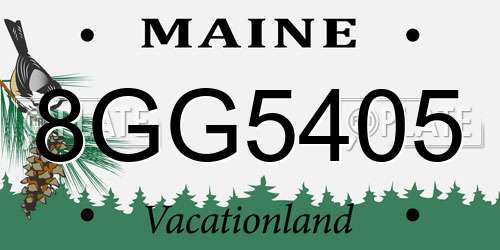 8GG5405 Maine License Plate