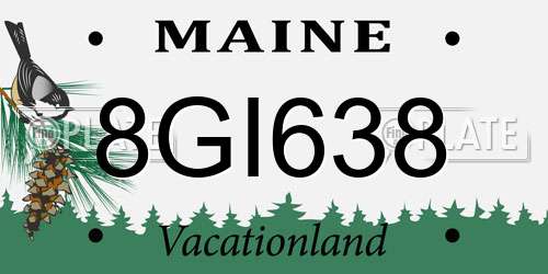 8GI638 Maine License Plate
