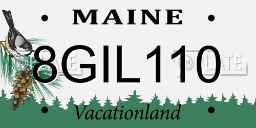 8GIL110 Maine License Plate