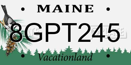 8GPT245 Maine License Plate