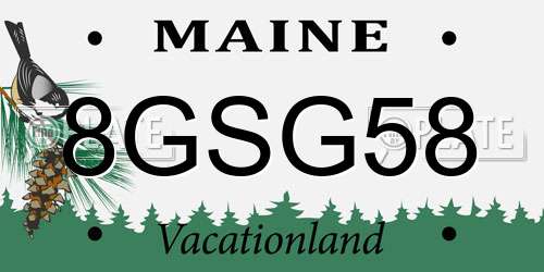 8GSG58 Maine License Plate