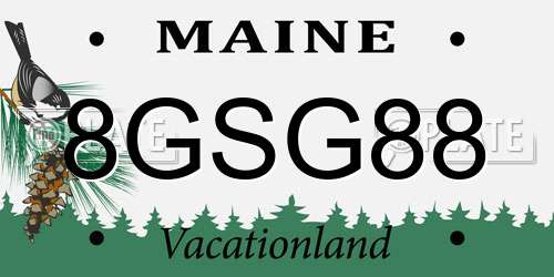 8GSG88 Maine License Plate