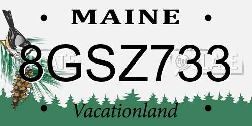 8GSZ733 Maine License Plate
