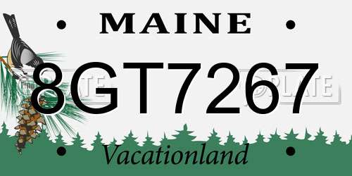 8GT7267 Maine License Plate