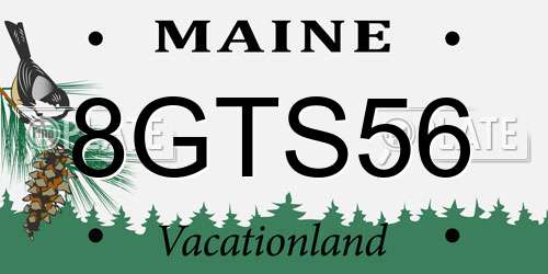 8GTS56 Maine License Plate