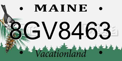8GV8463 Maine License Plate