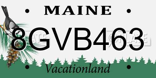 8GVB463 Maine License Plate