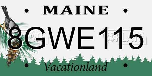 8GWE115 Maine License Plate