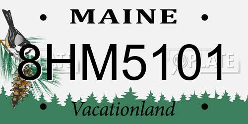 8HM5101 Maine License Plate