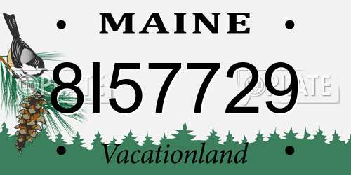 8I57729 Maine License Plate