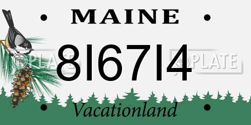 8I67I4 Maine License Plate