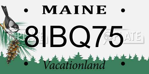 8IBQ75 Maine License Plate