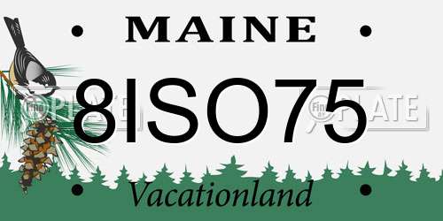 8ISO75 Maine License Plate