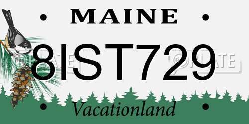 8IST729 Maine License Plate