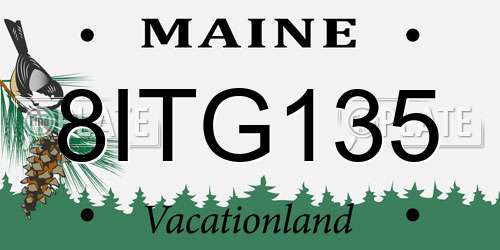 8ITG135 Maine License Plate