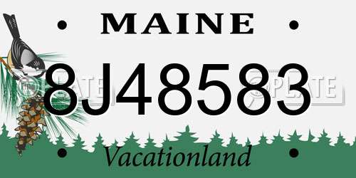 8J48583 Maine License Plate