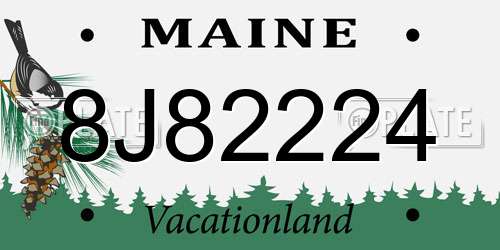8J82224 Maine License Plate