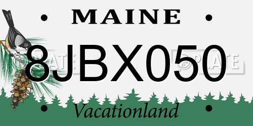 8JBX050 Maine License Plate