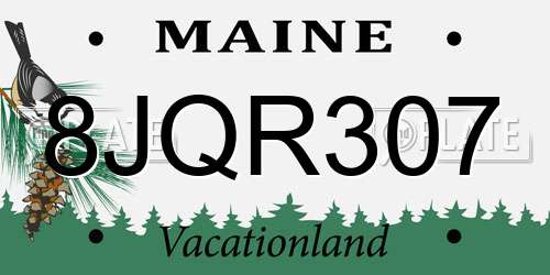 8JQR307 Maine License Plate