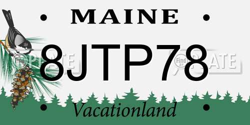 8JTP78 Maine License Plate